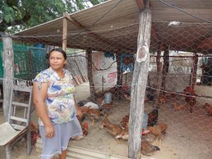 DonaDilce-galinhas-SaberesdaTerra